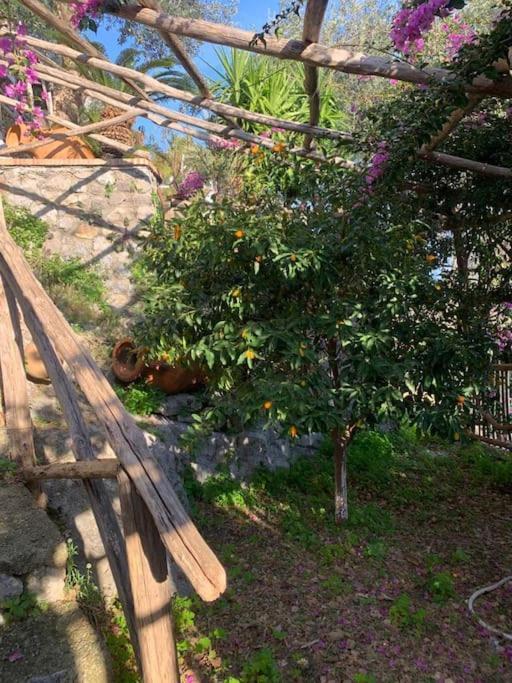 Villa Hermosa Costiera Amalfitana Dış mekan fotoğraf